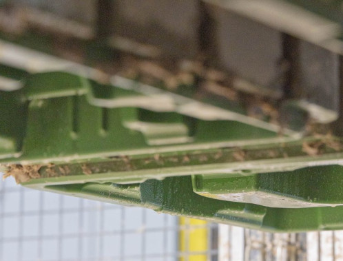 Sustainability storytelling for B2B buyers – communicating molded fibre value