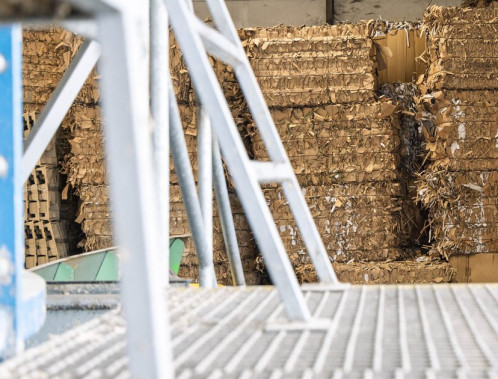 EUDR Due Diligence Statement – what your packaging supplier must provide