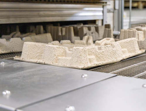 Pros and cons of molded fibre packaging – realistic assessment for buyers