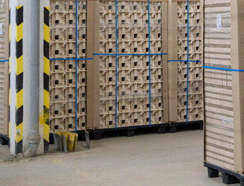 Molded fibre vs corrugated cardboard – which to choose for protective packaging